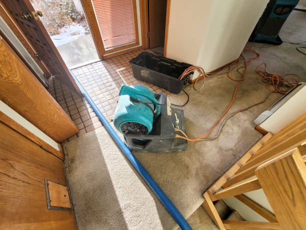 Professional Water damage restoration in AZ