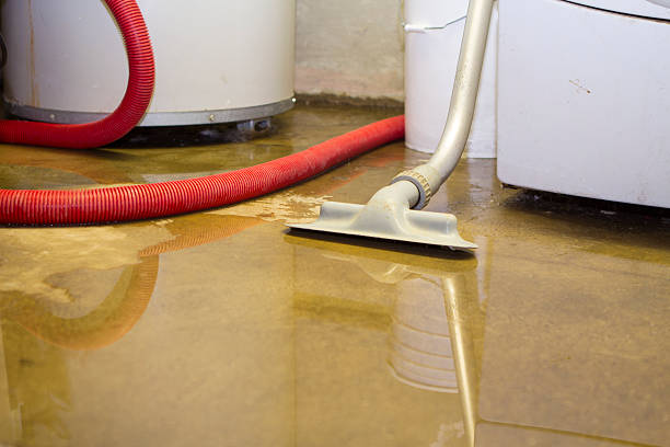 Best Commercial water damage restoration  in Globe, AZ