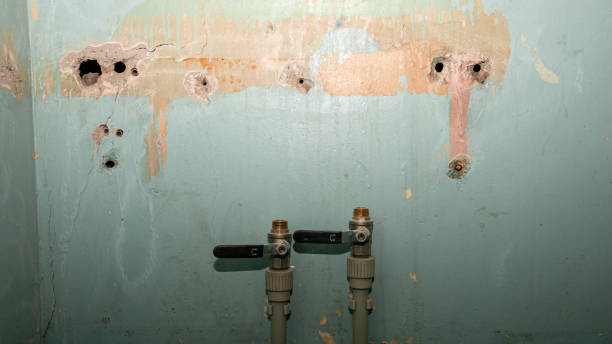 Best 24/7 water damage repair  in Globe, AZ