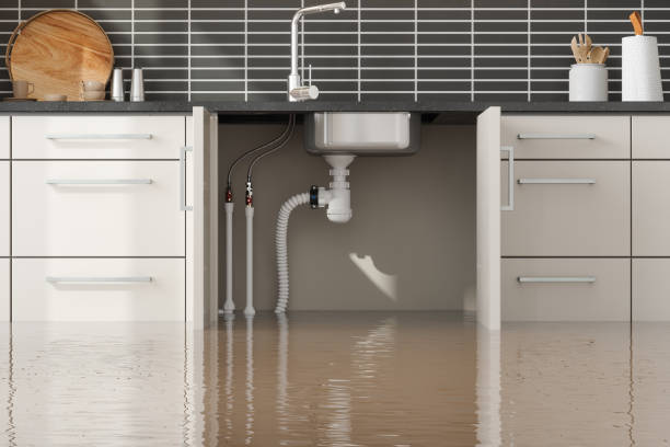 Best Water damage cleanup near me  in Globe, AZ