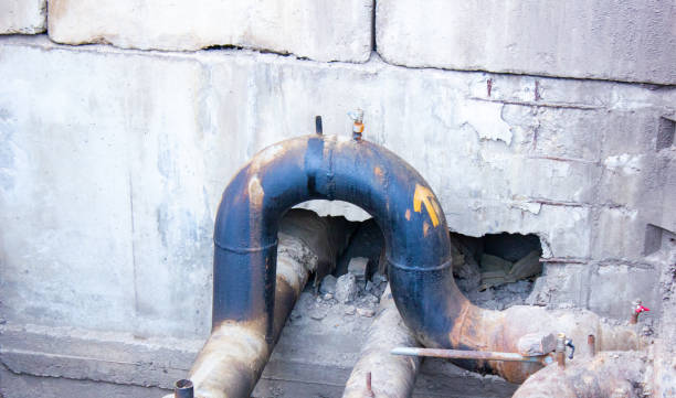 Best Sewage cleanup and water damage restoration  in Globe, AZ