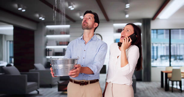 Best Flood restoration services  in Globe, AZ